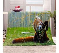 WJYMJJ Couverture en Molleton de Flanelle Panda Roux Brun Couverture de lit et Couverture canapé Super Doux, Couverture de décoration intérieure Chaude et légère 130x150 cm