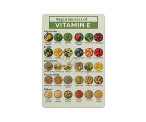 WJZJSVWTAU Poster Sources de vitamine E pour végétaliens Tableau des aliments à base de plantes pour une vie saine (encadré, 40 x 60 cm)