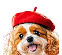 WKabnkn Béret tendance pour animal domestique avec design unique qui améliore la personnalité pour les photos sur les réseaux sociaux et divers accessoires de rassemblement d'événements