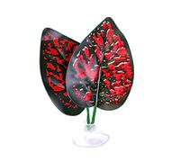 WKabnkn Coussin de feuilles à ventouse pour lit de repos Bettafish Hamac Lit pour aquariums Frayères Betta Fish Pad Fournitures Aquariums Décorations