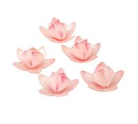 WKabnkn Lot de 5 accessoires de bijoux en résine pour loisirs créatifs - Kit d'accessoires pour cheveux - Répliques de feuilles réalistes, taille unique, Comme décrit, Comme décrit.
