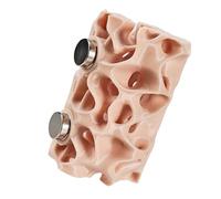WKabnkn Nid d'araignées ventilé innovant avec tunnel d'escalade pour exploration et observation des araignées sautantes