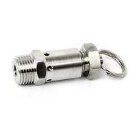 WKEWANG Mini soupape de surpression 1/4" 1/2" Filetage mâle SS304 soupapes d'échappement Mini soupapes de décharge d'air en Acier Inoxydable(1I4inch 123g,N-PT_3B-AR)