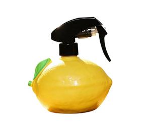 Wkldjf Arrosoir pneumatique manuel polyvalent pour la maison et le jardin avec pompes à main faciles à nettoyer et résistantes pour le nettoyage des plantes de jardin et le nettoyage