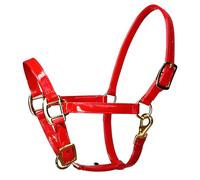 Wkldjf Bride d'équitation sans odeur avec boucles dorées, surfaces lisses en cuir souple pour un nettoyage sans effort du harnais en cuir