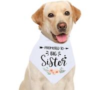 WKRTDY Bandeau pour chien Grande Soeur avec Fleur Blanche idéal pour célébrer un mariage une fiançailles ou annoncer l'arrivée d'un nouveau compagnon canin,Accessoire tendance pour chiens de compagnie