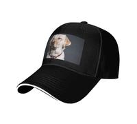 WKSGDSG Casquette de baseball unisexe pour homme et femme, motif labrador mignon, chapeau de sport décontracté avec évacuation de la transpiration et ajustement réglable, respirant, décontracté
