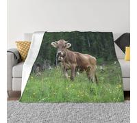 WKSGDSG Couverture polaire douce et anti-boulochage en flanelle pour lit, canapé, camping - Vache suisse véritable - 125 x 100 cm - Pour adultes, soirée cinéma, voyage en plein air - Marron