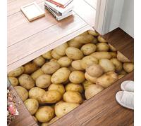 WKSGDSG Paillasson absorbant pour intérieur de 60 x 40 cm, antidérapant pour porte d'entrée, jardin pommes de terre, tapis de bienvenue facile à nettoyer pour entrée, porte arrière, entrée, par tous