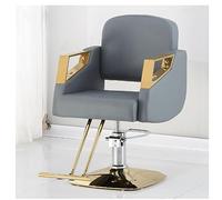 WKXTECZT Fauteuil De Coiffure Professionnelle Hydraulique À 360 Degrés De Rotation, Chaise De Barbier De Salon Classique, Fauteuil De Coiffeur Réglable en Hauteur,Gris