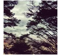 Wl - Light Years [Import]