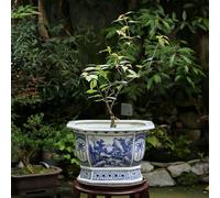 WLBHWL Chinoiserie Jardinière en Céramique Pot De Fleur Décoratif en Porcelaine Bleue Et Blanche pour Plantes D'intérieur Récipient De Fleurs avec Trou De Drainage pour Plantes Bonsaï Fleur