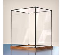 WLCGYD Vitrine Acrylique Vitrine en Acrylique, Boîte De Présentation Transparente De 50 60 40 45 55 15 10 Cm pour Figurines De Collection(50x15x15cm/20x6x6in)