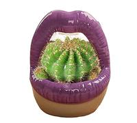 WLICWEI Jardinière en céramique en Forme de lèvres, Mini jardinière succulente en céramique, Pots de Fleurs Sexy à Bouche Ouverte, Pots de Plantes de Cactus, Bureau à Domicile, Jardin, décor extérie