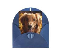 WLKSNBVD Carte de vœux avec enveloppes Golden Retriever Tournesol Thinking of You Carte vierge pour anniversaire, fête prénatale, félicitations, mariage, remerciements, toutes occasions