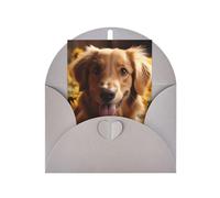 WLKSNBVD Carte de vœux avec enveloppes Golden Retriever Tournesol Thinking of You Carte vierge pour anniversaire, fête prénatale, félicitations, mariage, remerciements, toutes occasions