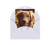 WLKSNBVD Carte de vœux avec enveloppes Golden Retriever Tournesol Thinking of You Carte vierge pour anniversaire, fête prénatale, félicitations, mariage, remerciements, toutes occasions