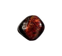 WLM Pierre roulée en Pietersite 3/4 cm
