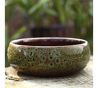 Wlnnes Bonsai en Pot Micro Paysage personnalité créative Pot en céramique céramique en Pot céramique coréenne coréenne coréenne Grande Grande Calibre en Pot de bonsaï en Pot de bonsaï en Pot