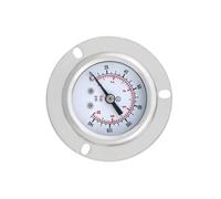 WLUAYITC Manomètre, M10-1 40 mm -1-0-400 Bar, précision 2,5%, Connexion arrière du manomètre avec Bride(0-160bar)