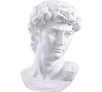 WLVG Statue de Buste de David Michelangelo, Sculpture en résine Classique Figurine réplique Sculpture pour Artiste Figurines à Collectionner décoration pour Bureau à Domicile-b 29x20 cm (11x8 pou
