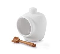 WM Bartleet & Sons 1750 T52W Petit cochon traditionnel en porcelaine avec cuillère à sel en bois Blanc 9 cm