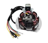 WMAMBZNDHP Bobine de stator de Moto 50339004200 adaptée for KTM 200 250 300 380 EXC MXC 125 SX SXS EXC EGS Supermoto Gas Gas SM125 SM250 EC250 EC125