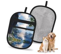 WMASTNjgdA The Land of Forgetting Gant d'épilation réutilisable pour animaux de compagnie | Gant électrostatique élégant pour poils de chien et chat | Outil de toilettage doux et de nettoyage de