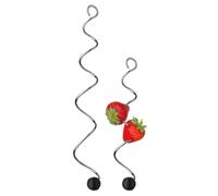 WMF Lot de 2 brochettes à Fruits Argenté