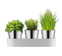 WMF Set de pots à herbes Gourmet 3 pièces