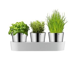 WMF Pot d'herbes gastronomiques avec système d'irrigation en 3 parties, jardin d'herbes aromatiques pour la cuisine, 36x 12,5x 12,5 cm, pour herbes de cuisine fraîches, blanc