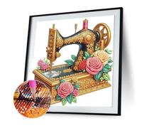 WMFASBAG 5d DIY Partial Special Foresed Dring Machine Kit de peinture en diamant 30x30cm