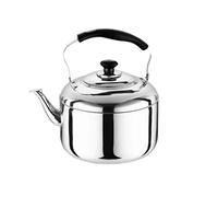 Wmmner Bouilloire À Thé de 5 L - Théière Avec Poêle À Poignéetop Blooming And Loose Leaf Tea Maker