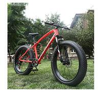 Wmmner Hardtail Mountain Bike 26 Inch With Mechanical Disc Brakes For Men And Women, Fat Tire Adults Mountain Bicycle, High Carbon Steel & Adjustable Seat & Front Suspension,Silver,27 Speed/Rouge/21 V