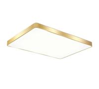 Wmmner Plafonnier Encastré Lampe de Cuisine Mince Flat Lights Luminaire Éclairage Dimmable Pour Salle Den Hallway Salon Salle À Manger 1 Pack Set, Lustres/Une Seule Couleur/Rectangle