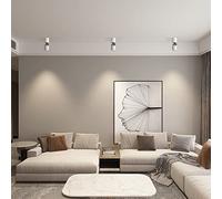 Wmmner Projecteur de Plafond Led Réglable Intérieur Ceiling Spot Light 90°+360° Rotation Plafonnier, 9W Spots Directionnels Lampes D'Accentuation, Plafonniers/Murs Pivotants En Aluminium/Blanc4000K