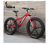 Wmmner Support de Pneu de Vélo de Montagne Hardtail de 26 Poucesain Trail Bike Pour Adultes Hommes Femmes, Freins À Disque Mécaniques Vélo de Montagne Avec Suspension Avant, Acier À Haute Teneur En Ca