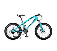 Wmmner Vélo de Montagne, Vélo de Route Pour Adultes 24 Pouces 21/24/27 Vitesse Hommes Femme Fourche À Ressort À Huile Fourche Avant Blue-20 21 Vitesses/Bleu/20 24 Speed