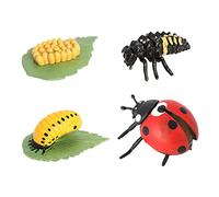 Wmqbjta 4 Pièces Étapes Cycle de Croissance Animaux Figurines Modèle Vinyle Jouets Éducatifs Plastique Adaptés pour Professeurs Activités de