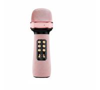 Wmqbjta Bluetooth Karaoké Portable Haut-Parleur Micro Changeur de Voix Module Audio Pro Stabilité de Connexion Boîtier Métallique Éponge Intégrée pour Fêtes, Rose, avec Sac