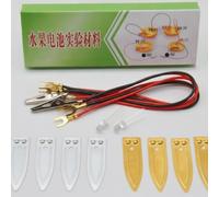 Wmqbjta Expérience Industrielle Kit de Science Batterie de Fruit Production de Tension Réaction Chimique Expériences Ludiques Composants Fournis Adapté aux, Batterie de Fruits (en boîte)