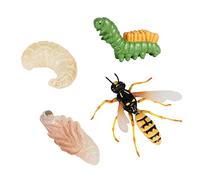Wmqbjta Jeu Croissance Insecte Ensemble Figurines Abeille Jouet Simulation Plastique Jeu Éducatif Convient pour Apprentissage Nature Préscolaire Décoration