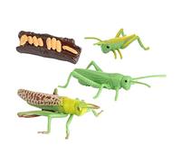 Wmqbjta Jeu Croissance Insecte Ensemble Figurines Abeille Jouet Simulation Plastique Modèle Cycle Animal Convient pour Préscolaire Apprentissage Nature