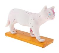 Wmqbjta Modèle de Chat Comportant 36 Points à Des Fins éducatives