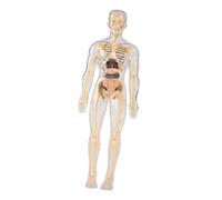 Wmqbjta Modèle de La Structure Du Corps Humain pour L'apprentissage de La Biologie (enfants de 6 Ans et Plus), Transparent