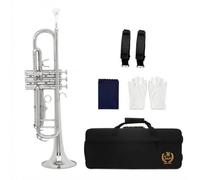 Wmqbjta Trompette Bb Débutant Instrument Cuivres Cornet Bugle Sonorité Claire Profil Acoustique Droit avec Accessoires Complet Convient aux Débutants, Argent