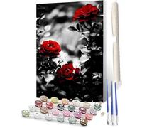 WMZPOY Bricolage Peinture par Numéros pour Adultes rose rouge noir et blanc Adulte Peinture par Numéros16X20 Pouces de Peinture pKits Sur ToilePeinture par Numéros Artisanat pour