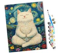 WMZPOY Peinture par Numero Adulte Chat blanc sous le ciel étoilé animal DIY Peinture à l'huile Numéros Toile Paint by Numbers Peindre par Nombre Kits sans Cadre 40x50cm