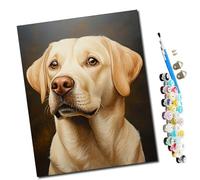 WMZPOY Peinture par Numero Adulte Le regard d'un golden retriever DIY Peinture à l'huile Numéros Toile Paint by Numbers Peindre par Nombre Kits sans Cadre 40x50cm