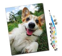 WMZPOY Peinture par Numero Adulte Un corgi heureux sur l'herbe DIY Peinture à l'huile Numéros Toile Paint by Numbers Peindre par Nombre Kits sans Cadre 40x50cm